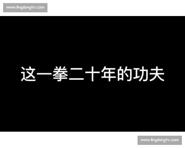 见招拆招，一拳定音：从博弈到决胜的制胜策略